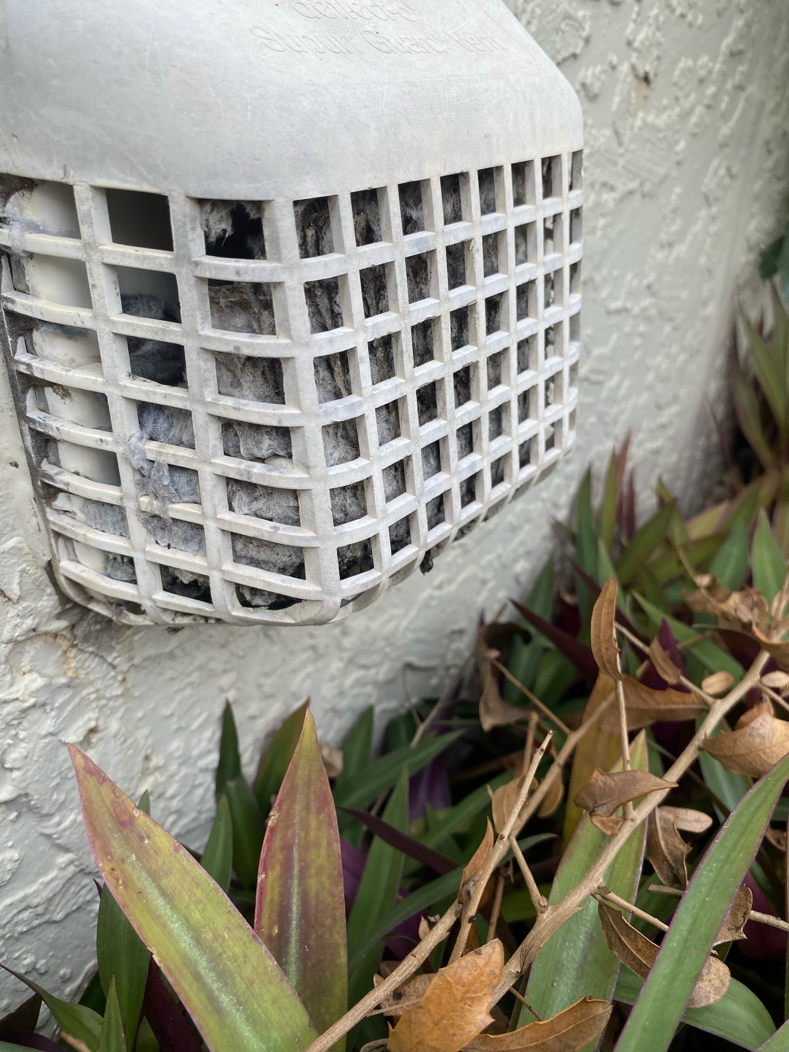 Clogged exterior dryer vent full of lint
